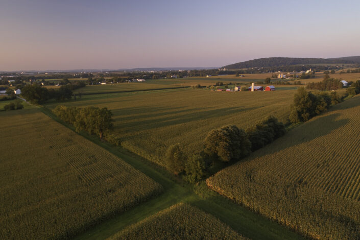 Lancaster PA Red Barn Farm and Cornfields in Summer at Sunset